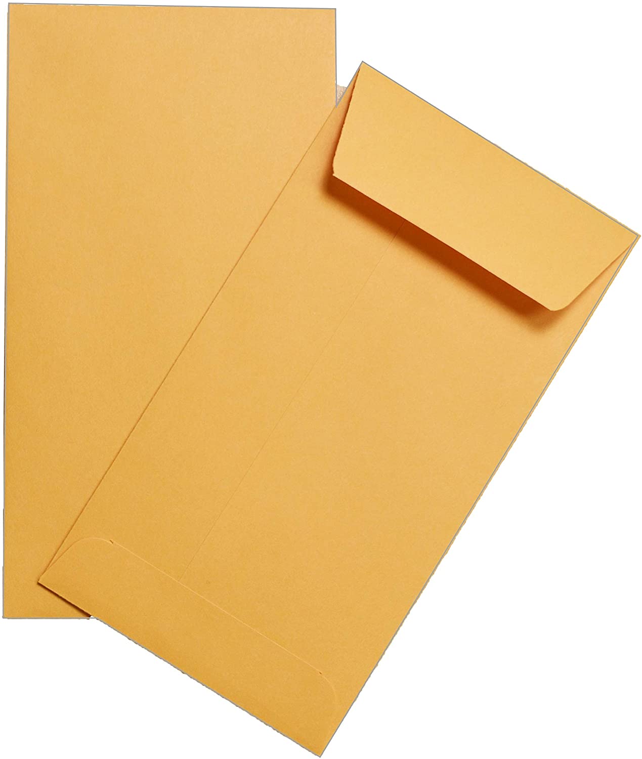 Two brown kraft coin envelopes.