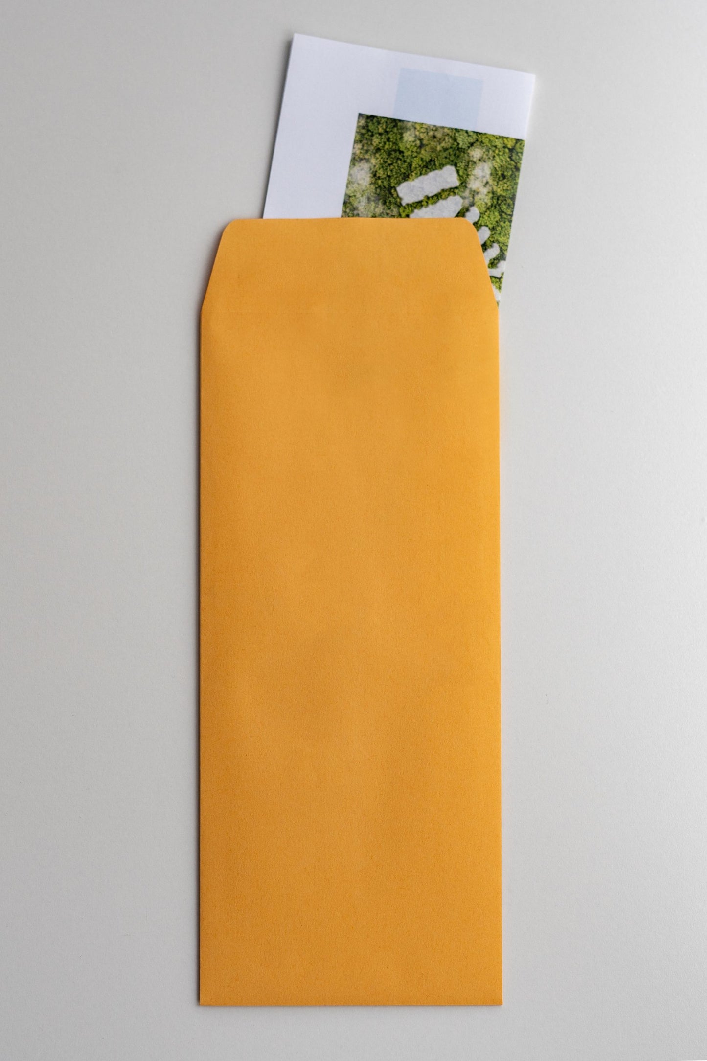 Policy envelope with a folded piece of paper sticking out of the top opening.